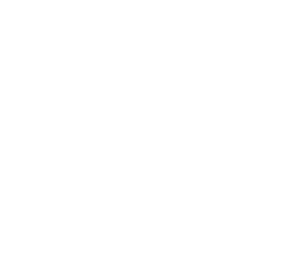 O&W Logo